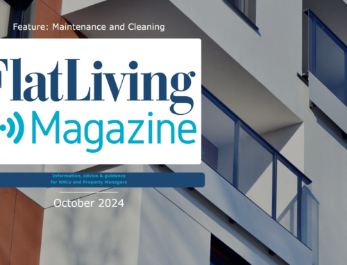 Flat Living Magazine Roundup – October 2024