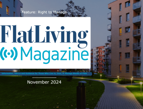 Flat Living Magazine Roundup – November 2024