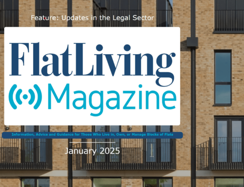 Flat Living Magazine Roundup – January 2025