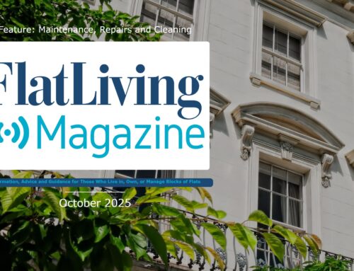 Flat Living Magazine Roundup – October 2025