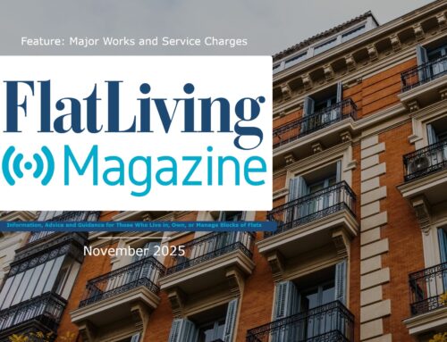 Flat Living Magazine Roundup – November 2025